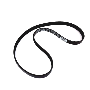 Serpentine Belt